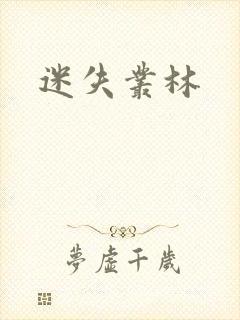 迷失丛林