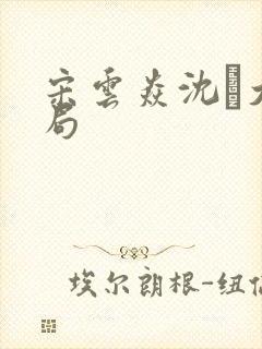 宋云焱沈大结局封面