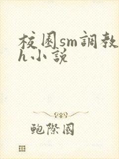 校园sm调教高h小说