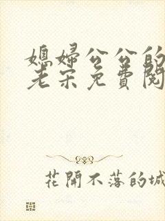 媳妇公公的小说老宋免费阅读