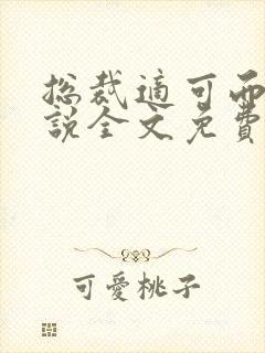 总裁适可而止小说全文免费阅读
