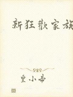 新狂欢家族小说