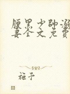 腹黑少帅溺爱狂妻全文免费阅读