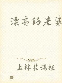 漂亮的老婆封面