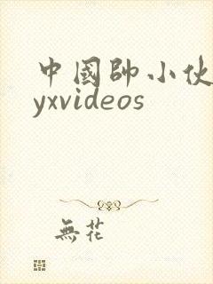 中国帅小伙gayxvideos