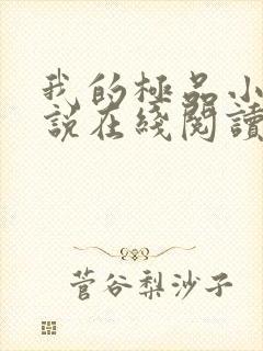 我的极品小姨小说在线阅读全文免费