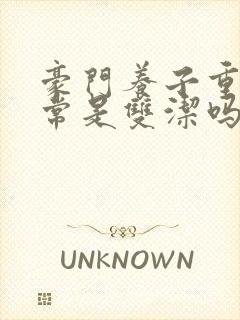 豪门养子重生日常是双洁吗