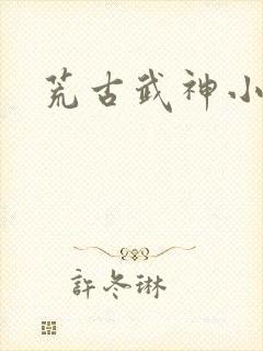 荒古武神小说封面