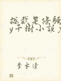 总裁是条骚狗by千树小说免费阅读