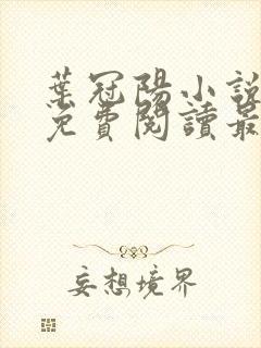 叶冠阳小说全文免费阅读最新章节