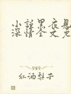 小说黑夜见过他深情全文免费阅读