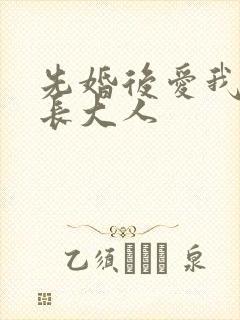 先婚后爱我的市长大人