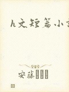 h文短篇小说封面