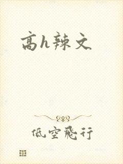高h辣文封面