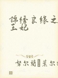 锦绣良缘之北地王妃