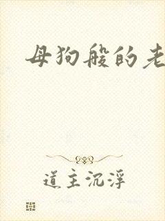 母狗般的老师封面