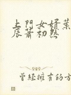 上门女婿叶辰叶辰萧初然封面