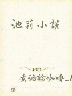 池莉小说封面