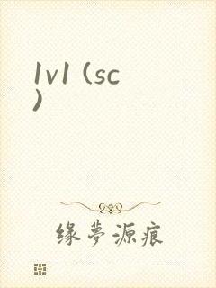 1v1 (sc)封面