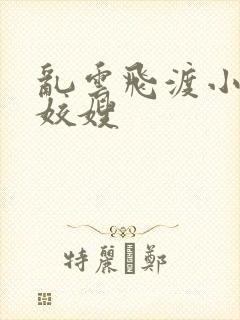 乱云飞渡小说之姣嫂