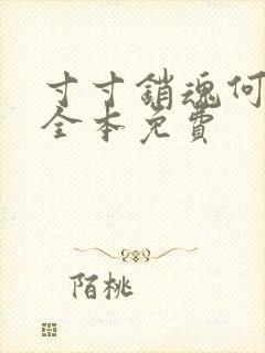 寸寸销魂何生祥全本免费