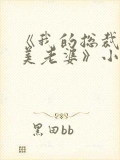 《我的总裁白富美老婆》小说封面