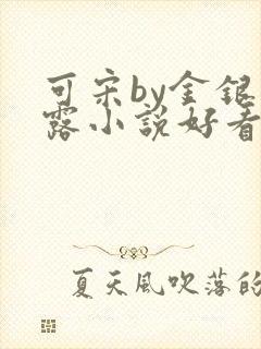 可宋by金银花露小说好看吗
