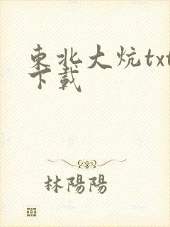 东北大炕txt下载封面