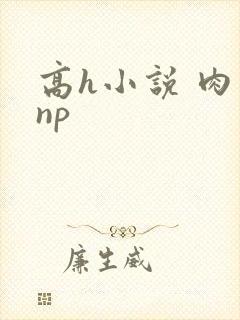 高h小说 肉 np封面
