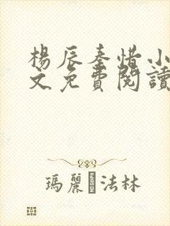杨辰秦惜小说全文免费阅读无弹窗