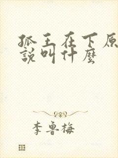 孤王在下原著小说叫什么封面