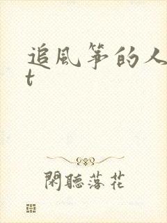 追风筝的人txt