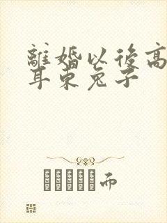 离婚以后高干 耳东兔子