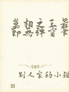 万相之王最新章节无弹窗笔趣阁