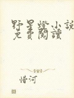 野星灯小说全文免费阅读封面