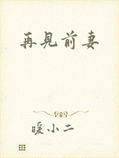 再见前妻