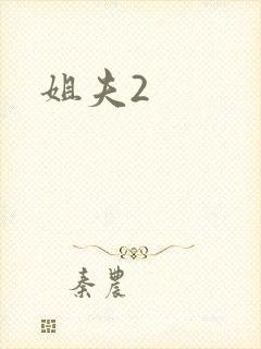 姐夫2