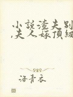 小说渣夫别跪了,夫人嫁顶级大佬显怀了
