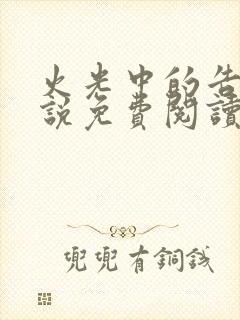 火光中的告白小说免费阅读
