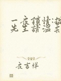 一夜锁情:总裁先生请温柔