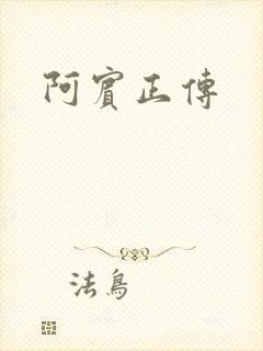 阿宾正传