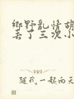 乡野乱情胡秀英丢了三次小说封面