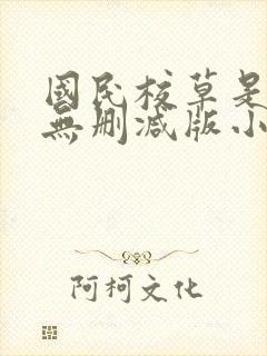国民校草是女生无删减版小说