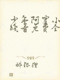 少年阿宾小说在线看免费全文无弹窗