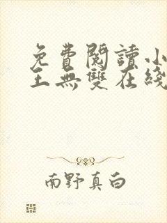 免费阅读小说兵王无双在线阅读全文封面