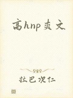高hnp爽文