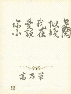 你爱我似是而非小说在线阅读