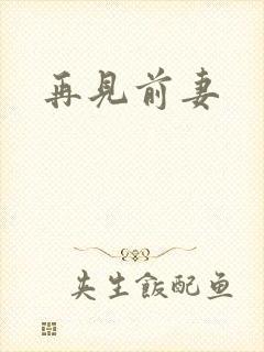 再见前妻
