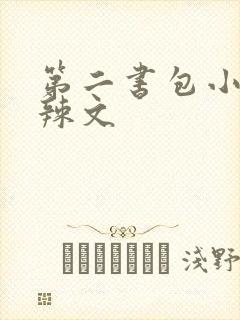 第二书包小说网辣文