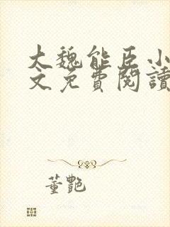 大魏能臣小说全文免费阅读
